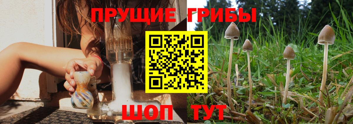 Галлюциногенные грибы Cubensis  Вход с VPN  Буйнакск 